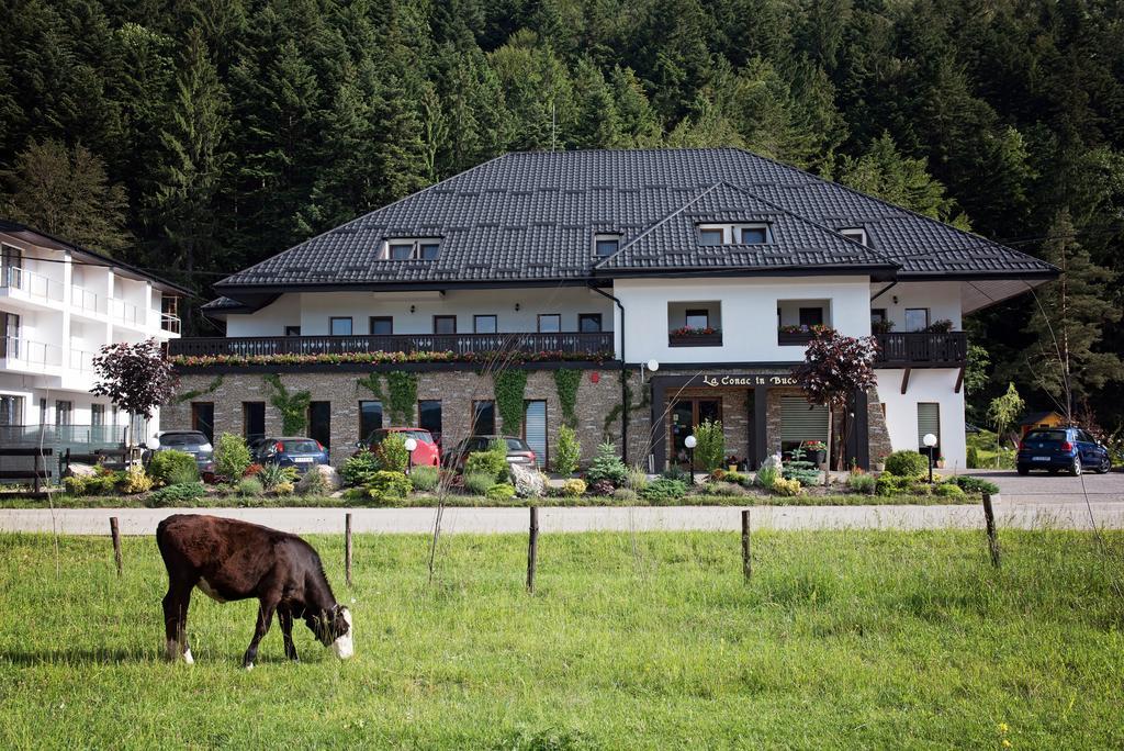 La Conac In Bucovina Hotel Gura Humorului Zewnętrze zdjęcie